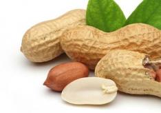 Полезные свойства для мужчин и женщин, противопоказания и аллергия на арахис